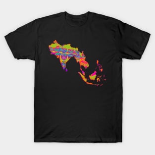 Akhand Bharat trippy T-Shirt